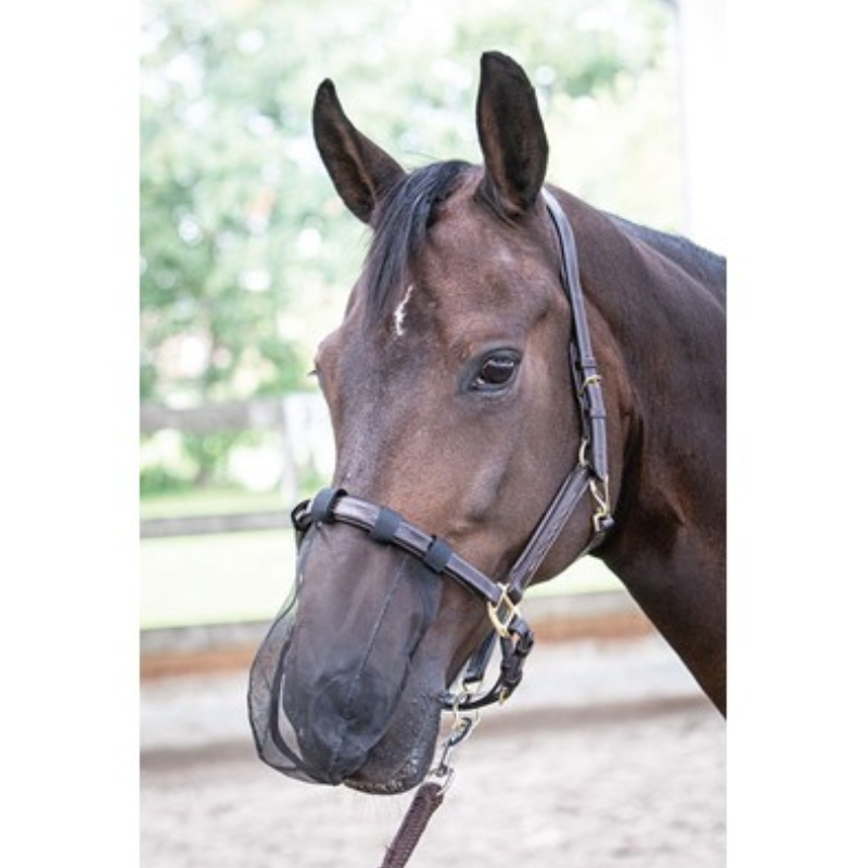 Harry's Horse Neusnetje