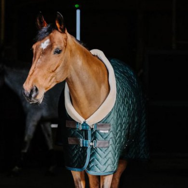 Equitheme Velvet Staldeken