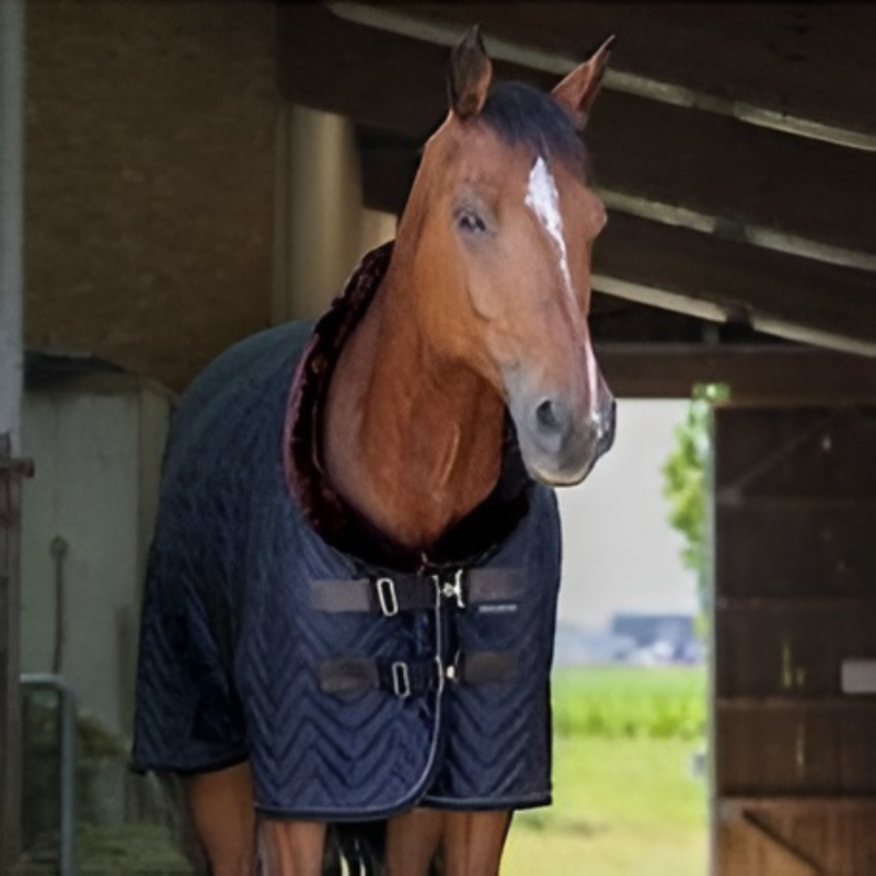 Equitheme Velvet Staldeken