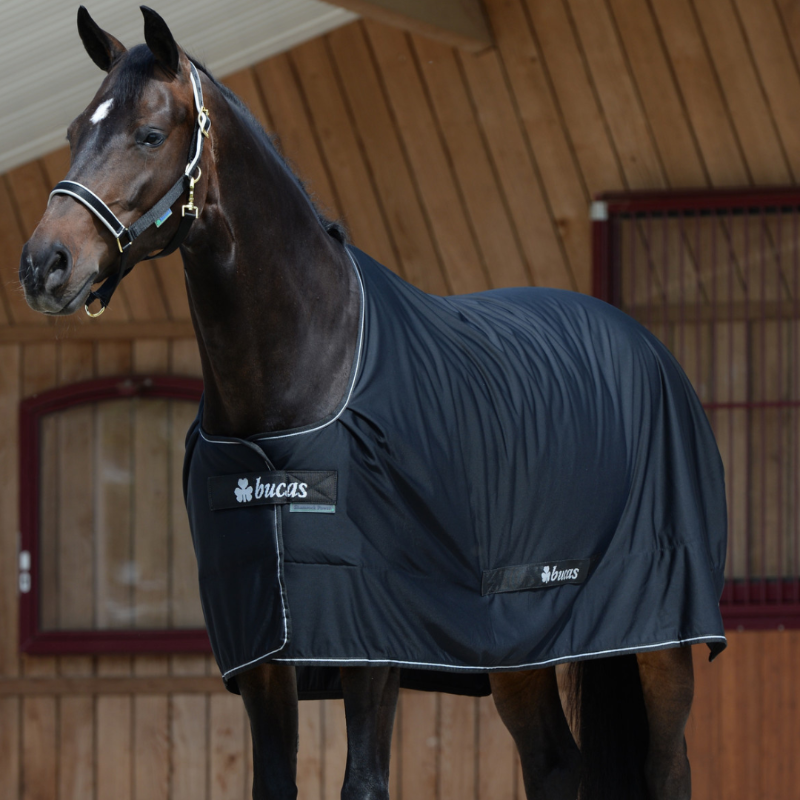 Bucas Shamrock Power