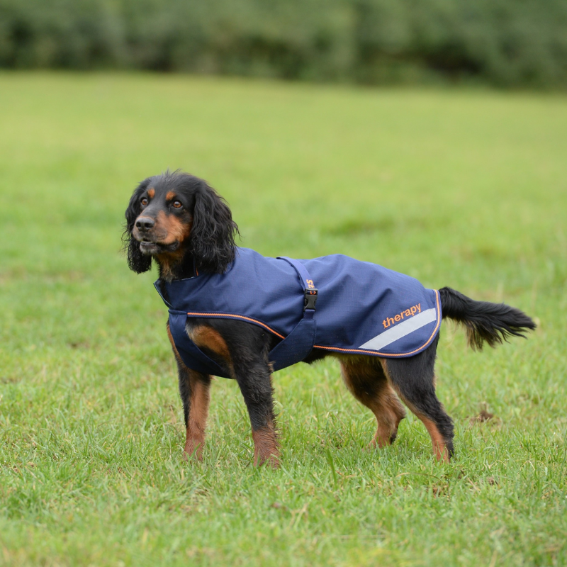 Bucas Therapy Honden Deken 150 Grams