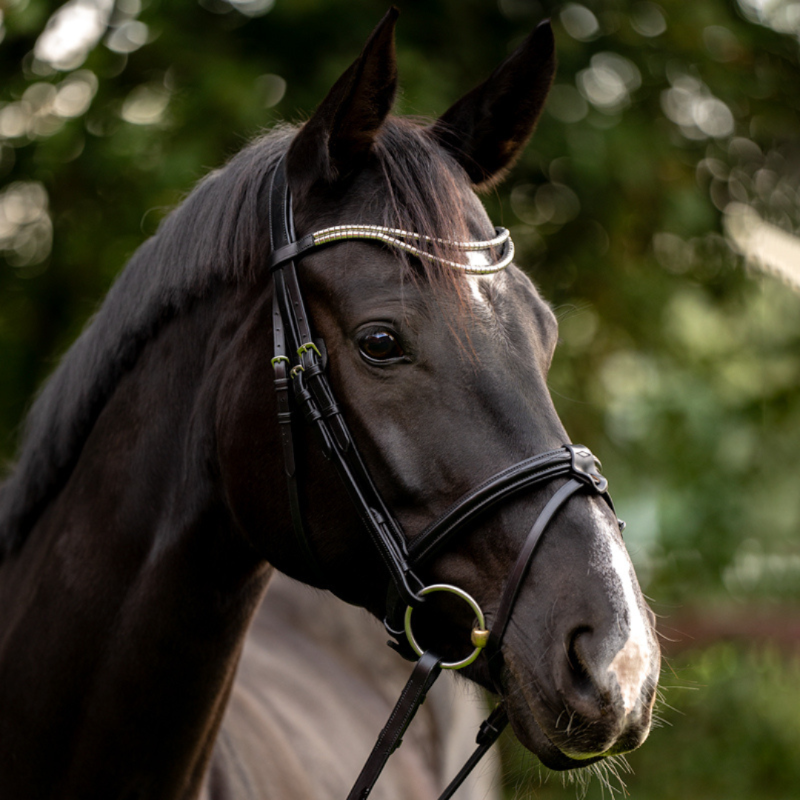 Kavalkade Frontriem Clincher Duo