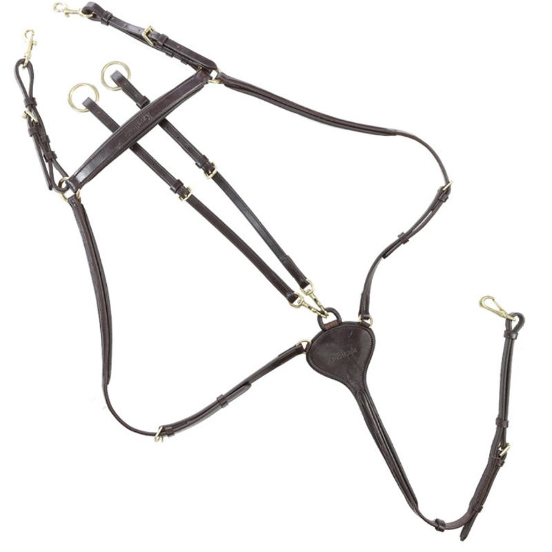 Kavalkade Voortuig Lorenz