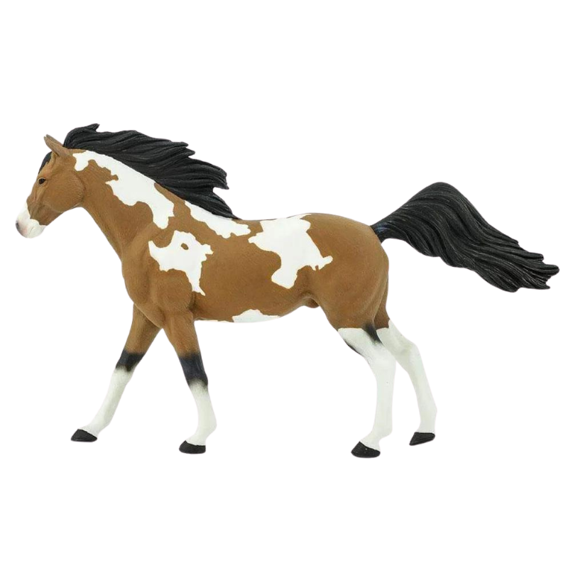 Safari Pinto Mustang Hengst