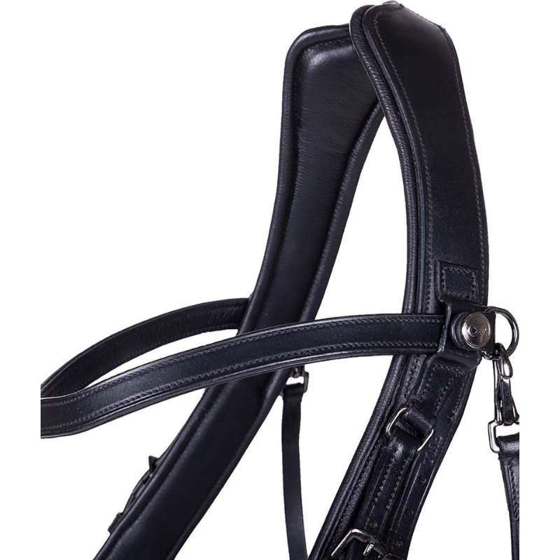 Presteq Stang en Trens Hoofdstel