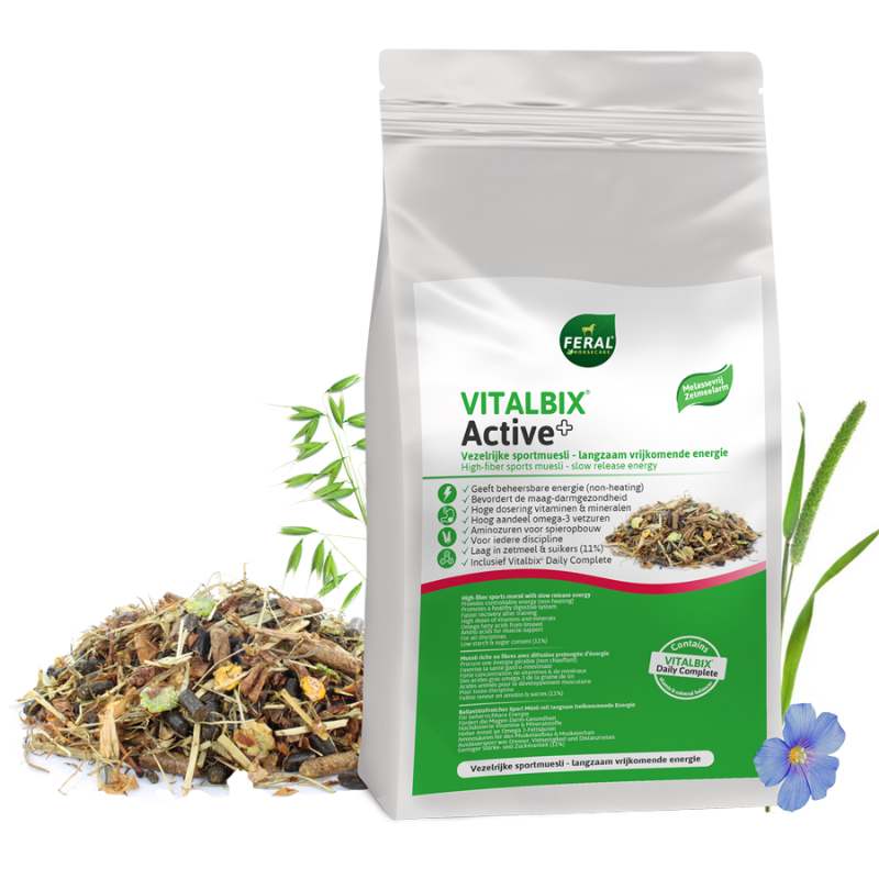 Vitalbix Active+