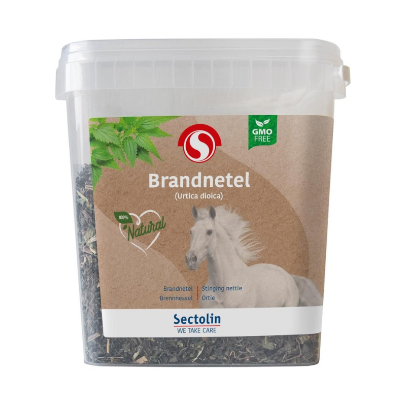 Sectolin Brandnetel