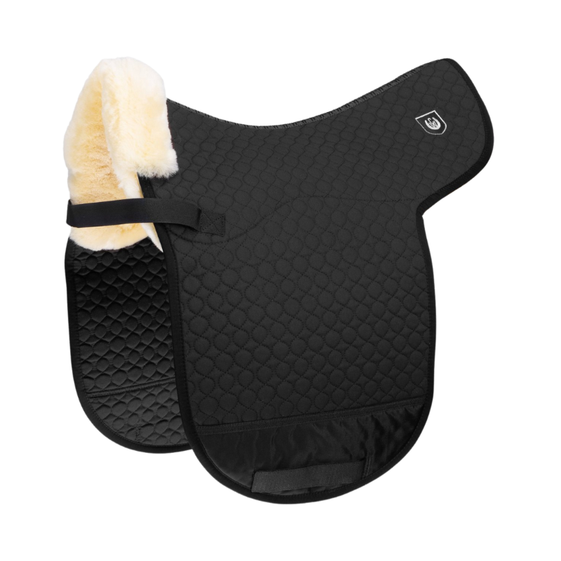 Christ Zadeldek Champ D