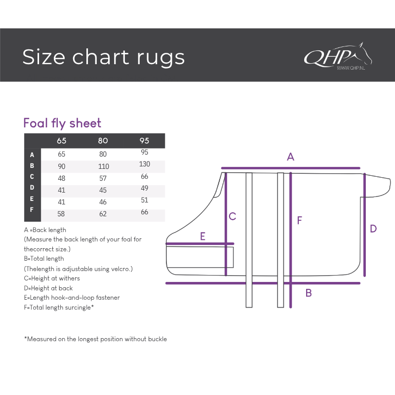 QHP Veulen Vliegendeken