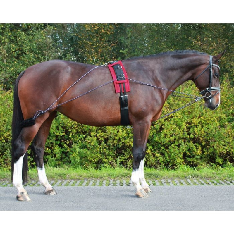 QHP Longeer Trainingsysteem