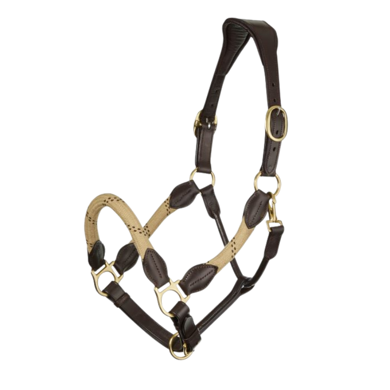 Lemieux Lasso Headcollar
