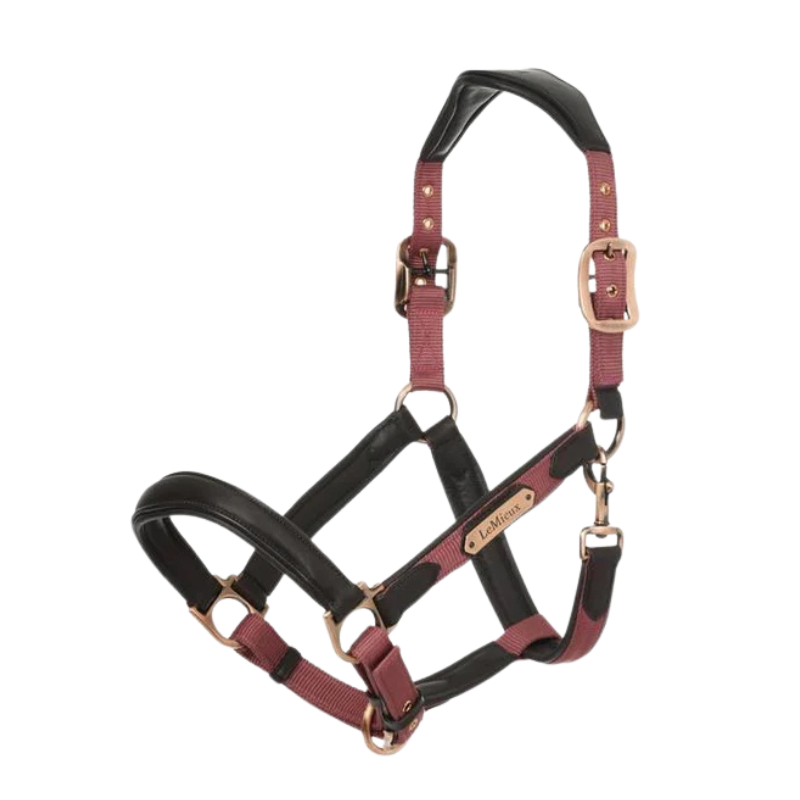 Lemieux Halster Capella