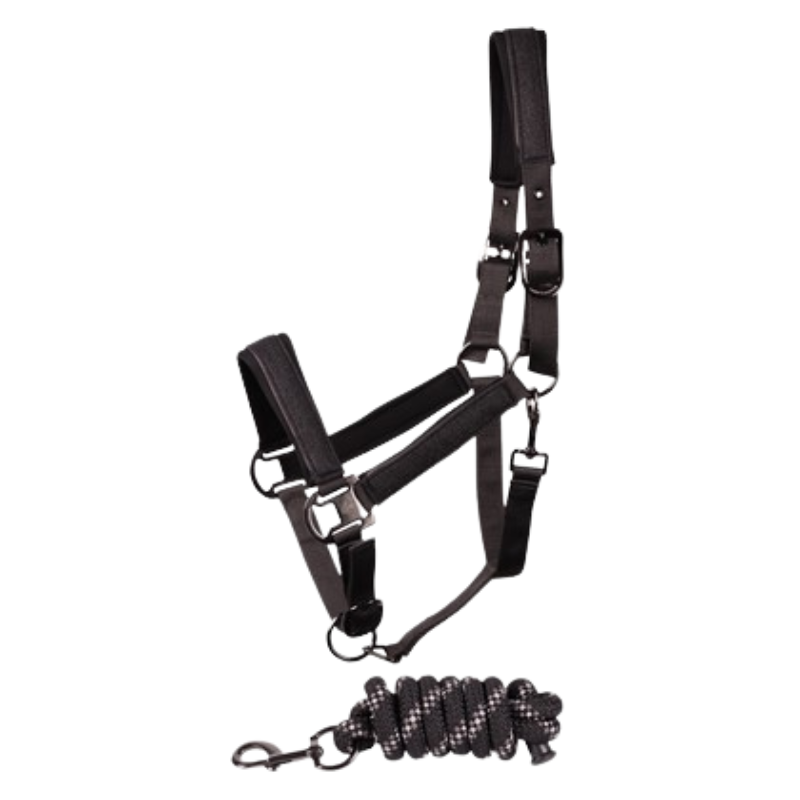 Harry's Horse Halsterset Denici Cavalli Shadow