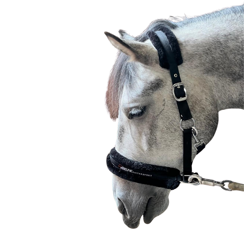 Vrielink Ruitersport Bonthalster
