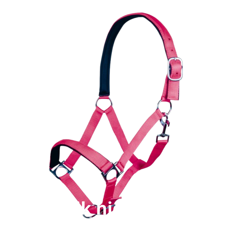 HKM Halster Stars Softice