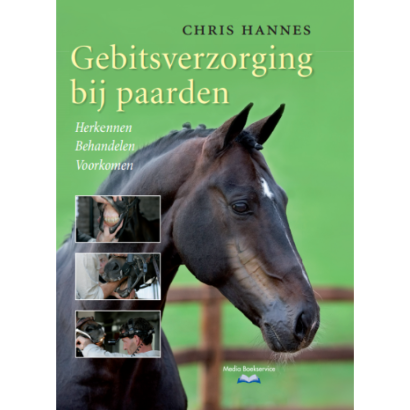 Gebitsverzorging Bij Paarden