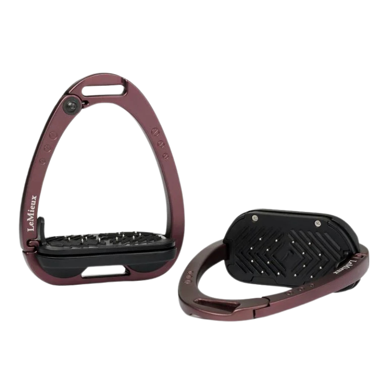 Lemieux Veiligheidsbeugel Vector