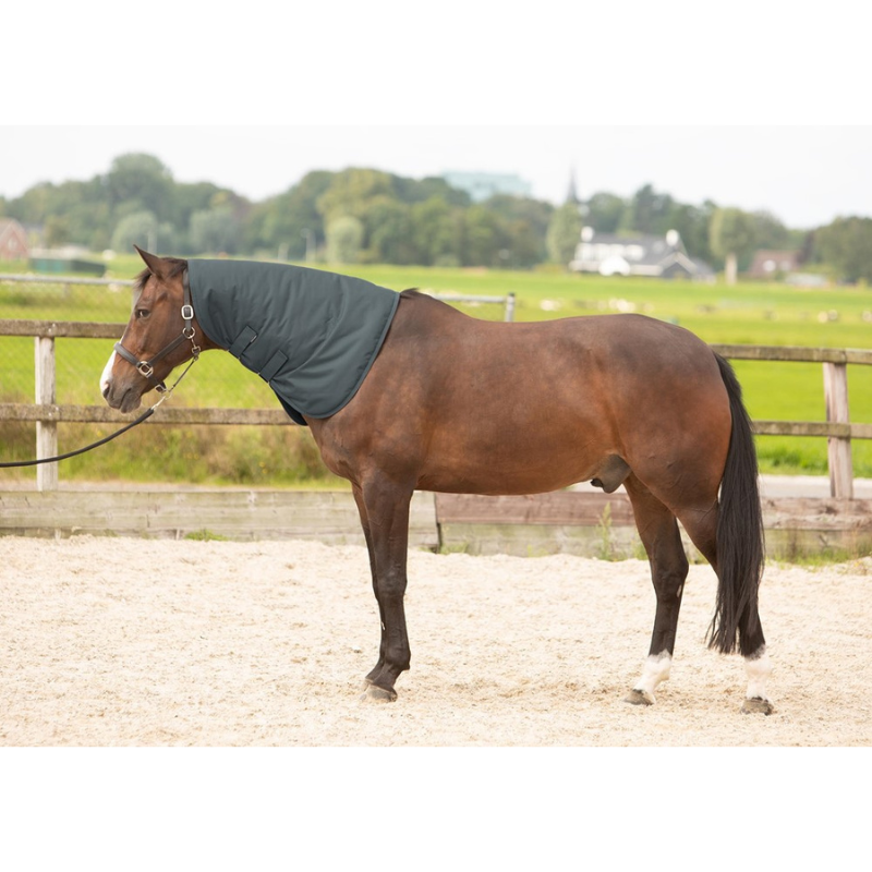 Harry's Horse Halsstuk Thor 200 Grams