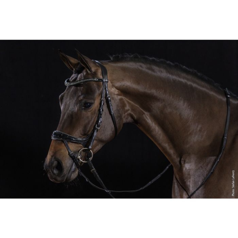 Schokemohle Hoofdstel Equitus Beta Glam
