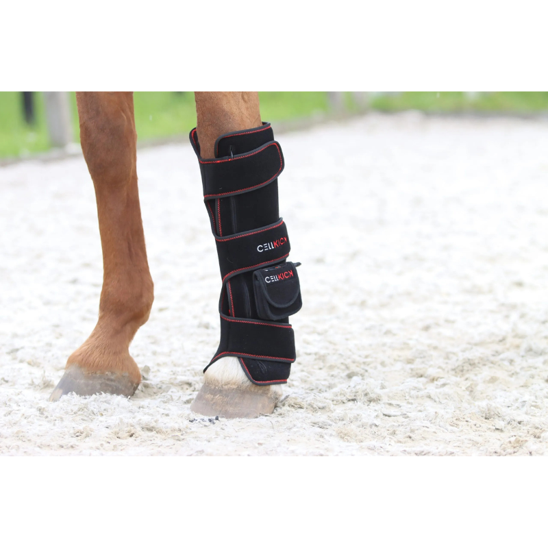 Cellkick Beenpad Ultimate