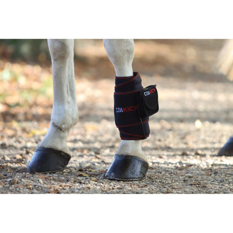 Cellkick Beenpad Pro Set