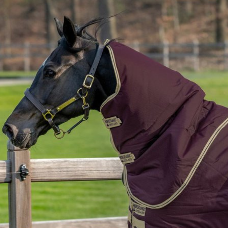 Horseware Amigo Hero Hood 100 Grams