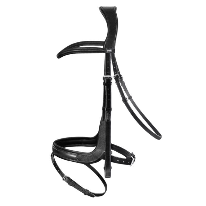 Passier Fantastic Trens hoofdstel