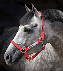 Horseware Field Safe Halster