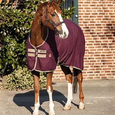 Horseware Amigo Stable Sheet X Sur Poly