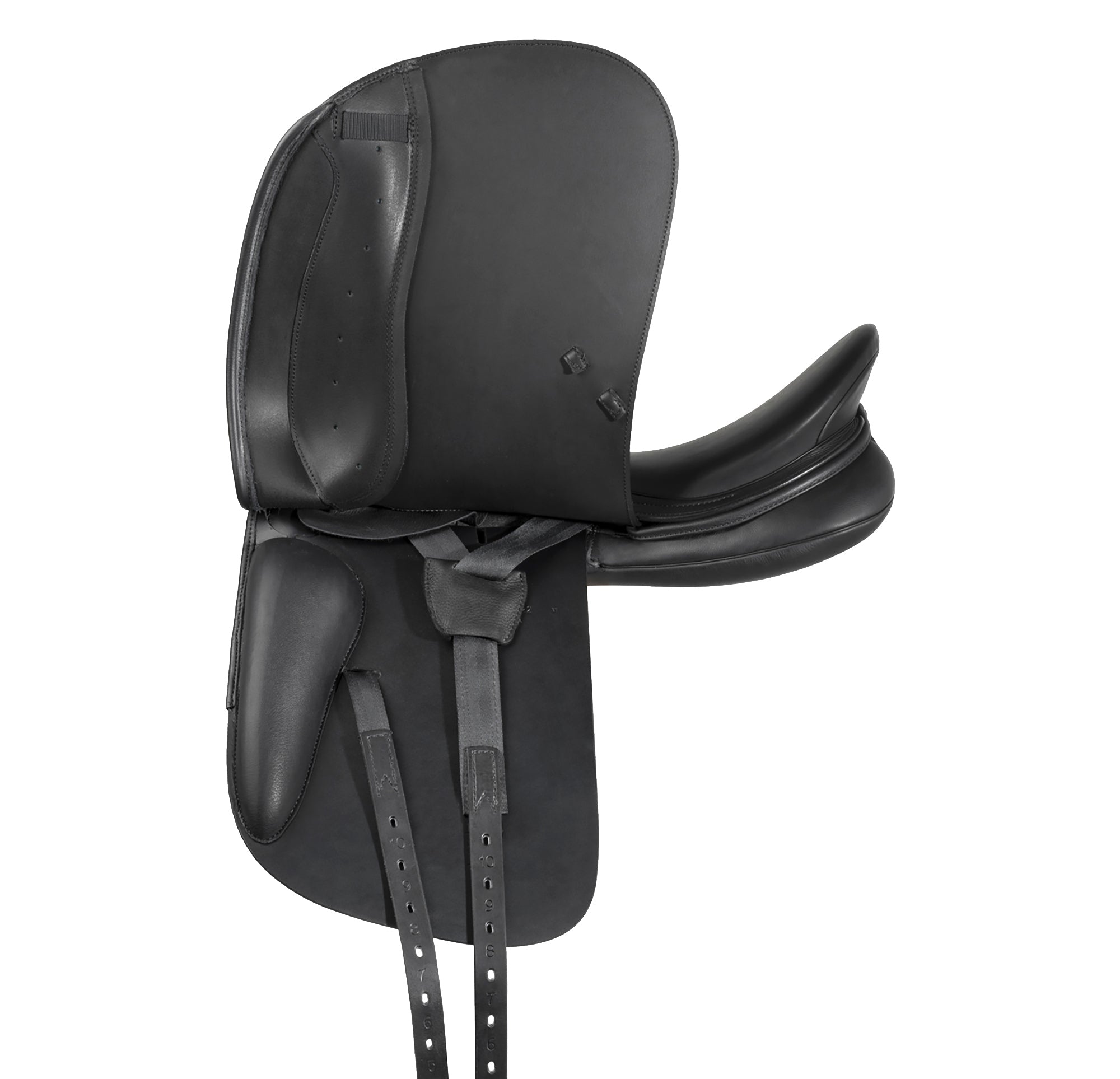 Prestige Top Dressage