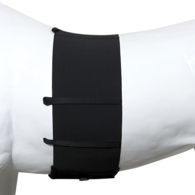One Equestrian Body Bandage Elastic