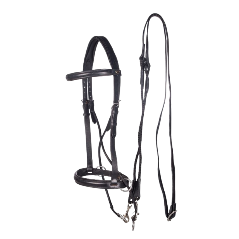 FRA Bitloos Hoofdstel El Camin