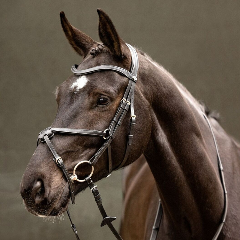 Lemieux Arika Grackle Bridle