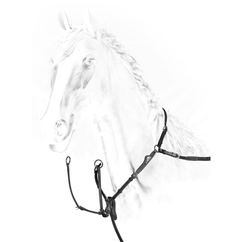Equiline Borsttuig Regulation