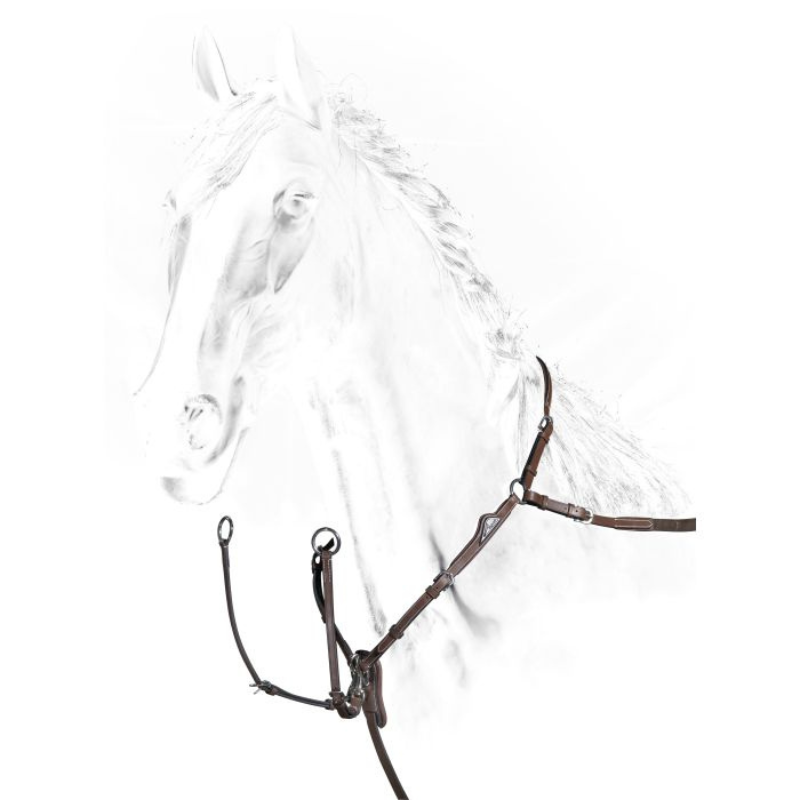 Equiline Borsttuig Regulation