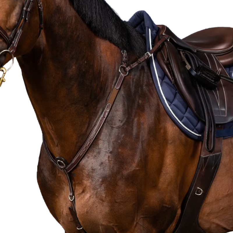 Dy'on Borsttuig US Collectie