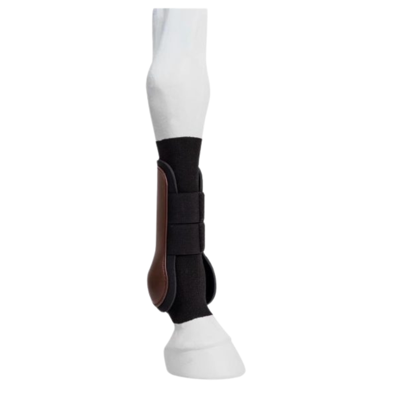 One Equestrian Tendon Tube