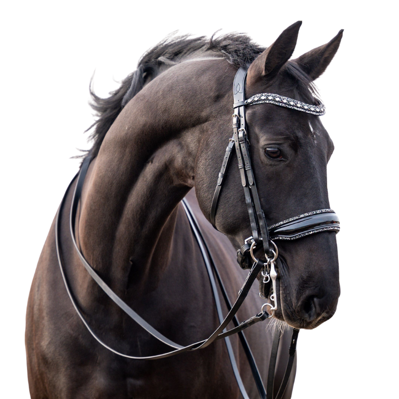 Showtime Stang & Trens Hoofdstel One In A Million