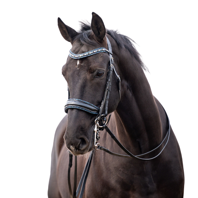 Showtime Stang & Trens Hoofdstel One In A Million