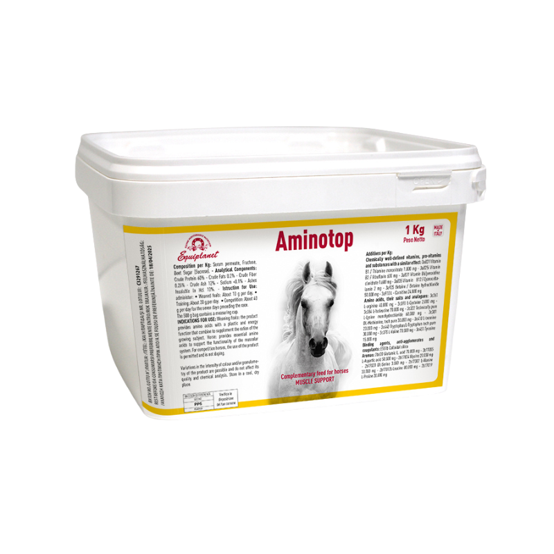 Equiplanet Amino Top