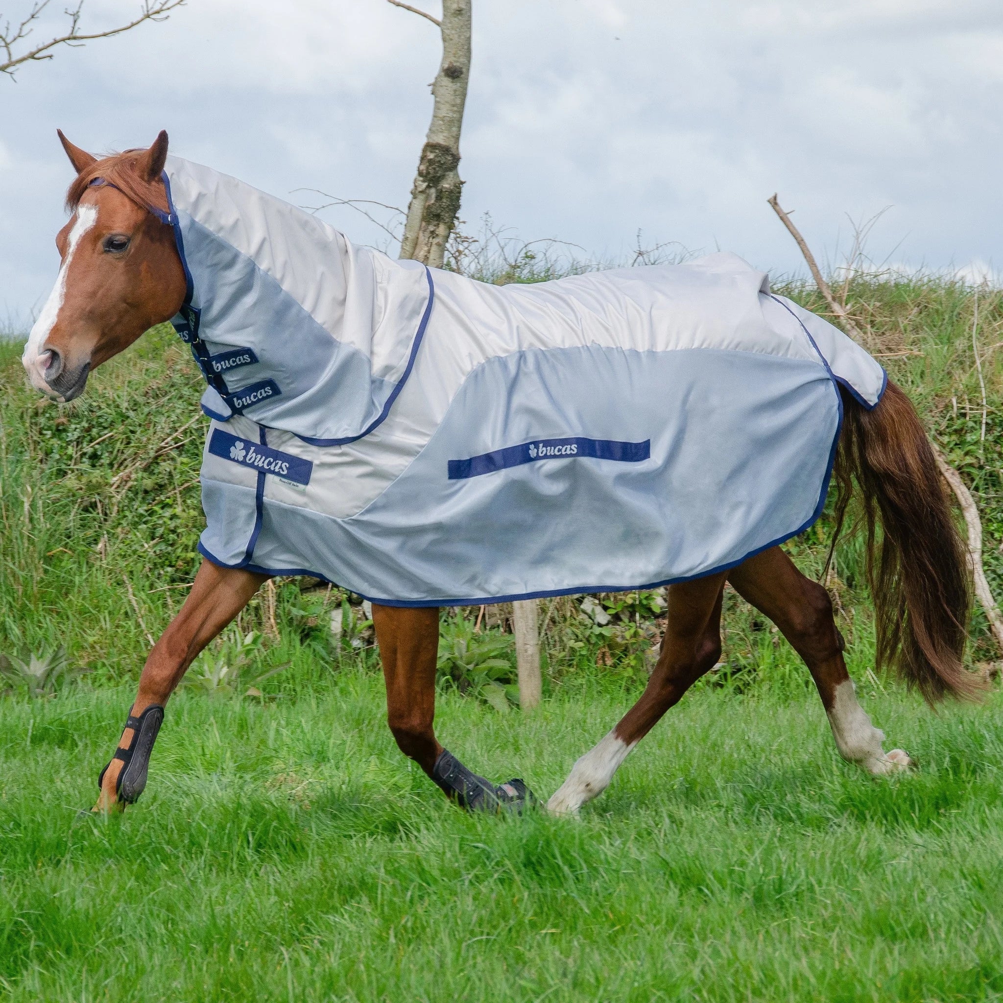 Bucas Vliegendeken Buzz Off Rain