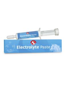 Sectolin electrolyte pasta