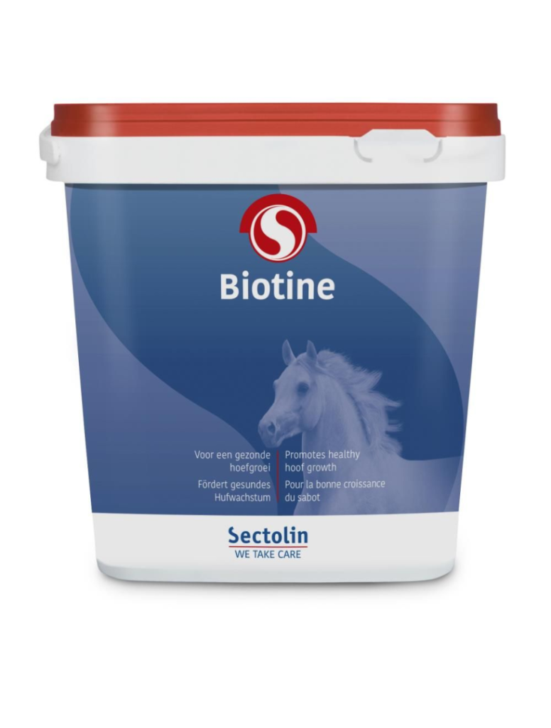 Equivital Biotine