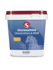 Equivital Glucosamine, Chondroïtine & MSM