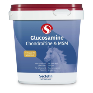 Equivital Glucosamine, Chondroïtine & MSM