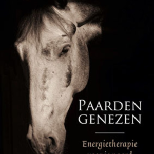 Paarden genezen, energietherapie voor je paard