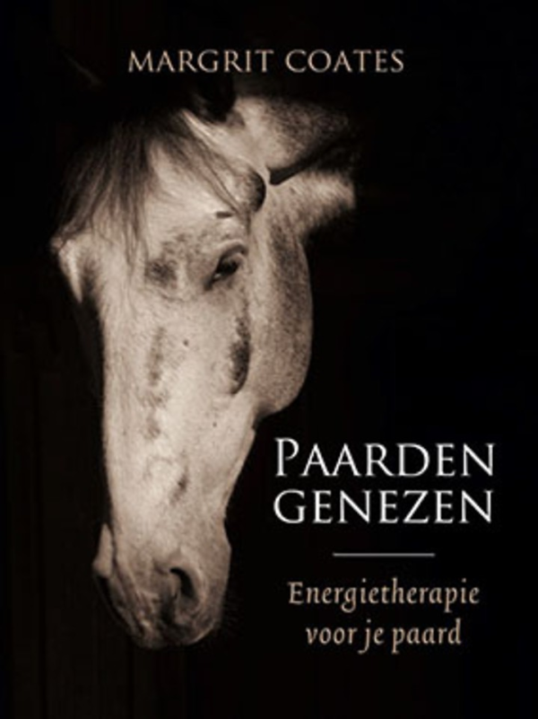 Paarden genezen, energietherapie voor je paard