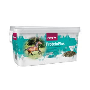 Pavo Protein Plus