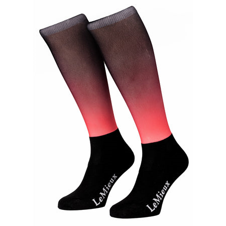 Lemieux Spectrum Socks