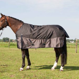 harrys horse deken